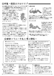 NS_No5-2