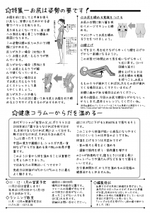 NS_No6-2