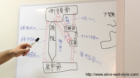 顎関節症勉強会 顎関節症勉強会