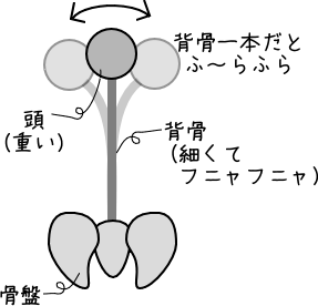 kotuban-3 骨盤と脊柱の関係