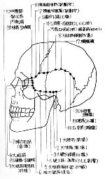 ts-line TSライン